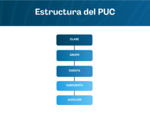 Reporte PUC